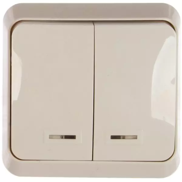 Выключатель 2-клавишный с индикатором 10А ЮПИТЕР «SMARTBUY» SBE-03w-10-SW2-1