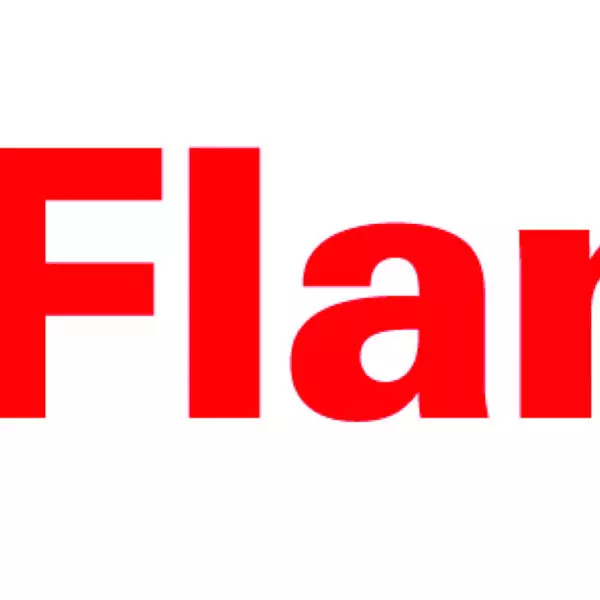 Логотип FLAMCO