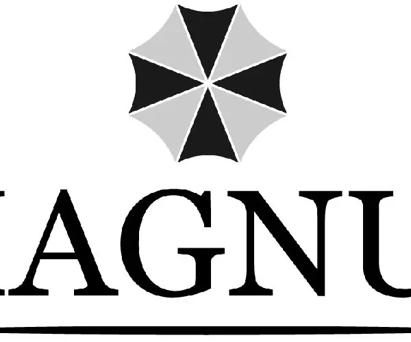 Логотип MAGNUS