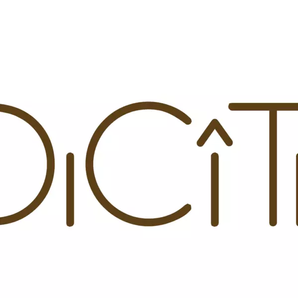 Логотип DiCiTi