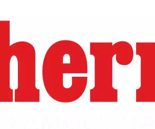 Логотип Thermex